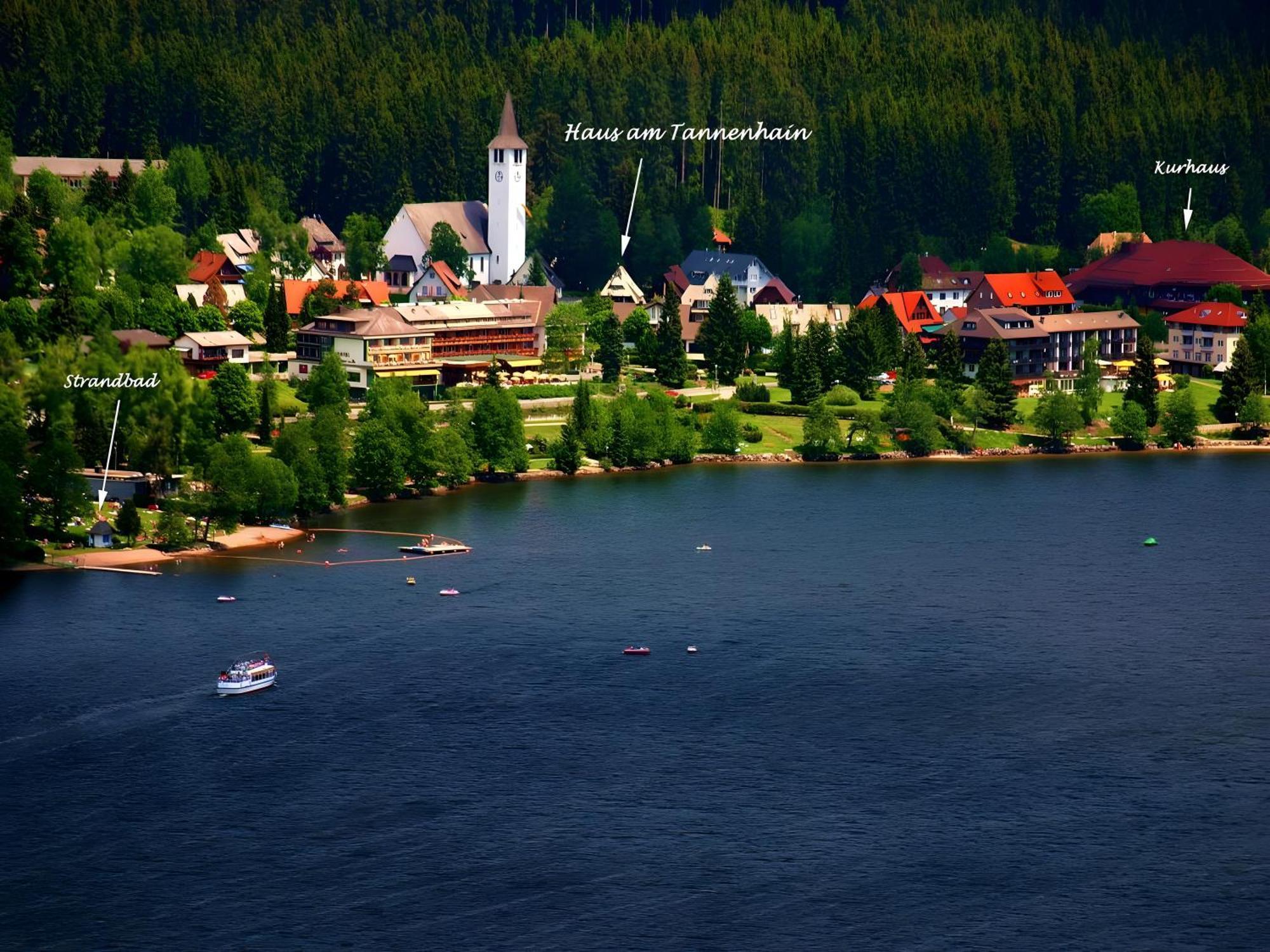 Haus Am Tannenhain Titisee-Neustadt Extérieur photo