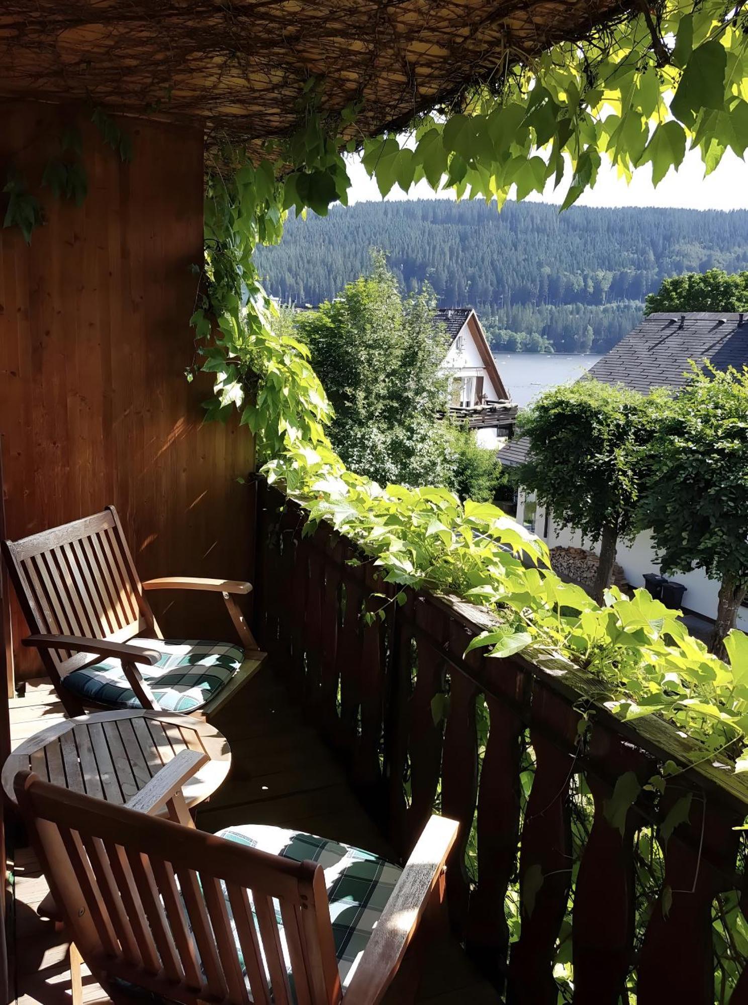 Haus Am Tannenhain Titisee-Neustadt Extérieur photo