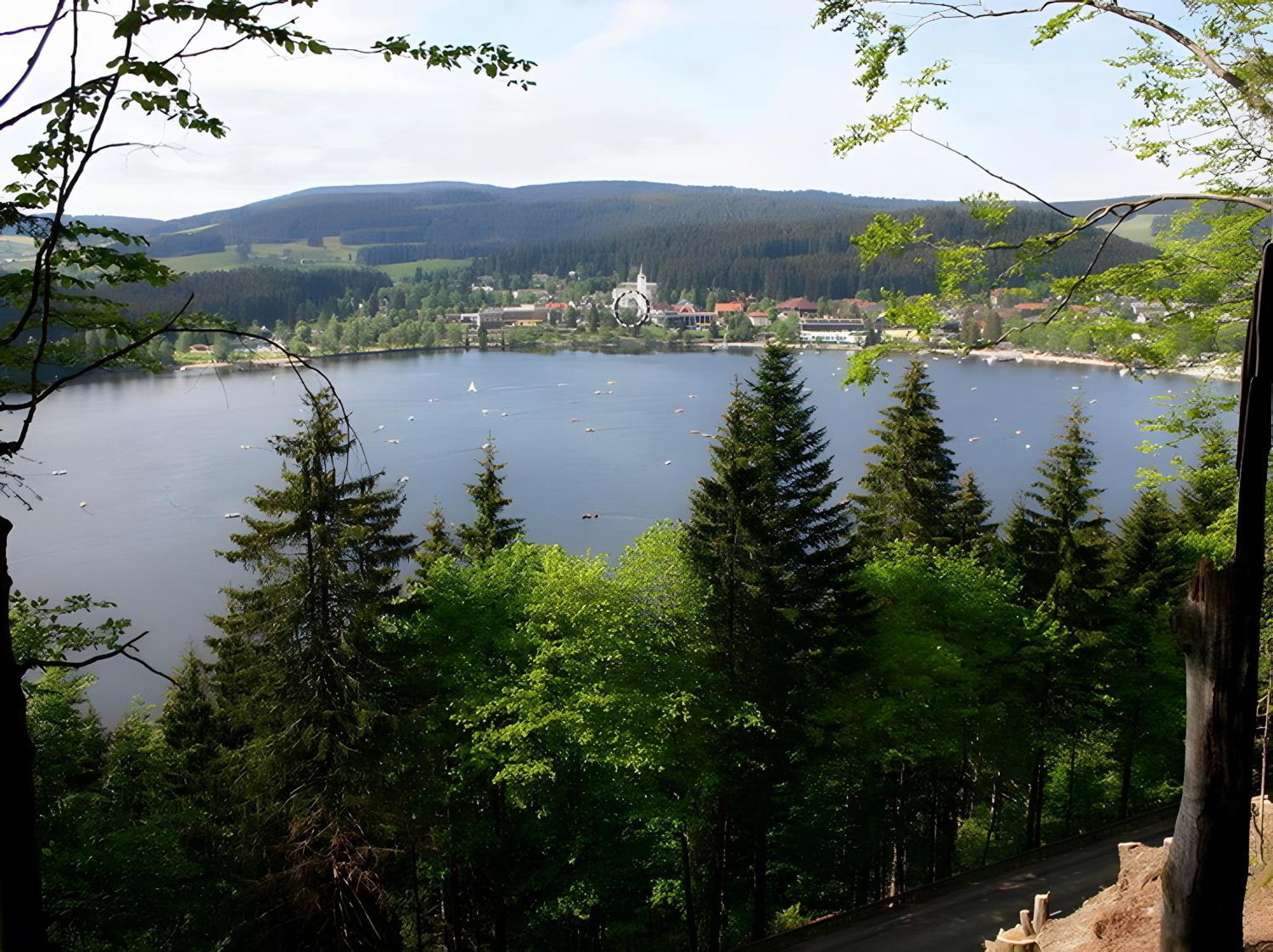 Haus Am Tannenhain Titisee-Neustadt Extérieur photo