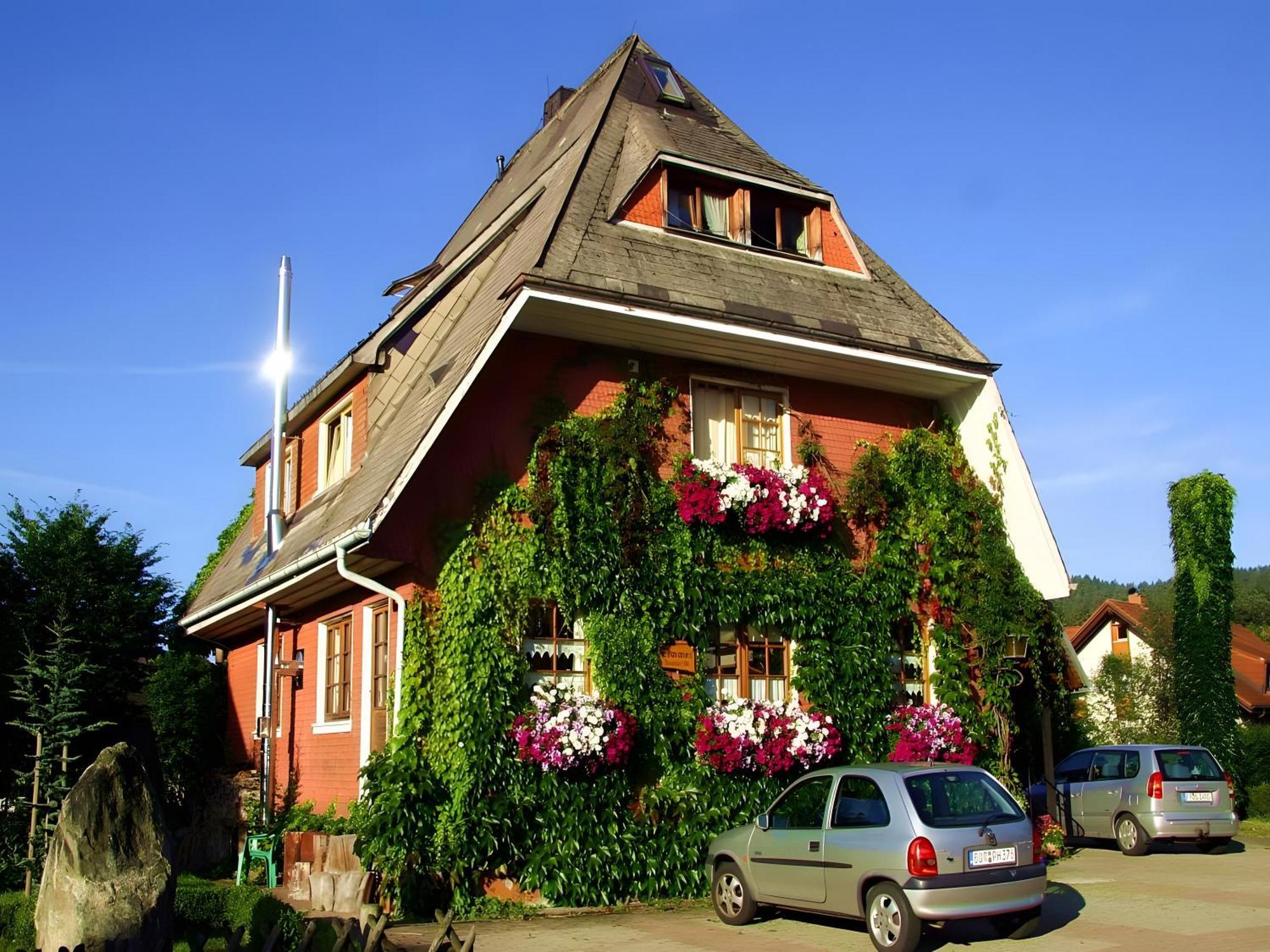 Haus Am Tannenhain Titisee-Neustadt Extérieur photo